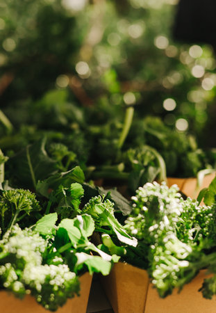 Fresh vegetables at small local urban market. Organic produce on sale at outdoor farmer market. Selling fresh crops and veggies harvest. European urban setting. Close up. Part of the series.の写真素材