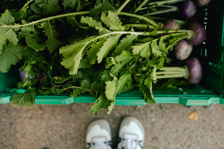 Top view of box with fresh vegetables and feet of a buyer at local urban market. Organic produce on sale at outdoor farmer market. European urban setting. Close up. Part of the series.の写真素材