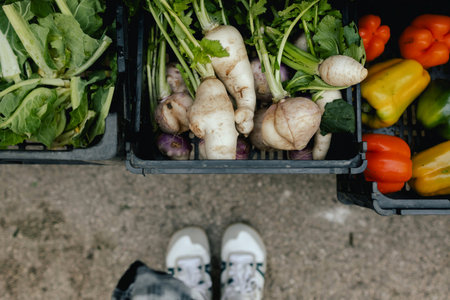 Top view of box with fresh vegetables and feet of a buyer at local urban market. Organic produce on sale at outdoor farmer market. European urban setting. Close up. Part of the series.の写真素材