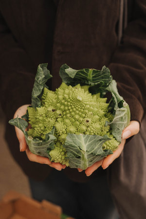Close up of woman buying greens on the local Farmers market. Mature Female Customer Shopping At Farmers Market Stall. Close up. Part of the series.の写真素材