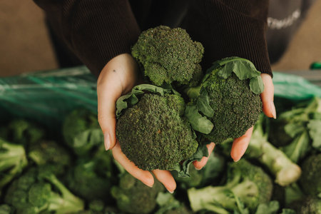 Close up of woman buying green broccoli on the local Farmers market. Mature Female Customer Shopping At Farmers Market Stall. Close up. Part of the series.の写真素材