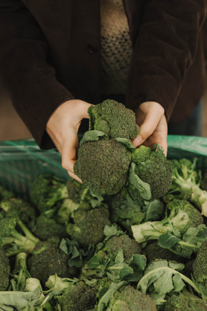 Close up of woman buying green broccoli on the local Farmers market. Mature Female Customer Shopping At Farmers Market Stall. Close up. Part of the series.の写真素材