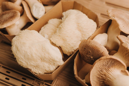 Close-up of exotic mushrooms in a paper boxes, champignons grown gourmet. Organic produce on sale at outdoor farmer market. Selling fresh crops and veggies harvest. European urban setting. Close upの写真素材