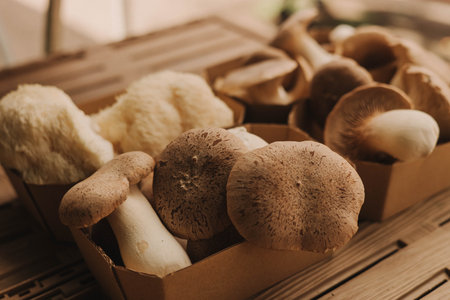 Close-up of exotic mushrooms in a paper boxes, champignons grown gourmet. Organic produce on sale at outdoor farmer market. Selling fresh crops and veggies harvest. European urban setting. Close upの写真素材