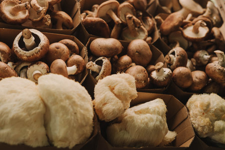 Close-up of exotic mushrooms in a paper boxes, champignons grown gourmet. Organic produce on sale at outdoor farmer market. Selling fresh crops and veggies harvest. European urban setting. Close upの写真素材