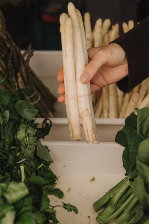 Close up of woman buying white asparagus on the local Farmers market. Mature Female Customer Shopping At Farmers Market Stall. Close up. Part of the series.の写真素材
