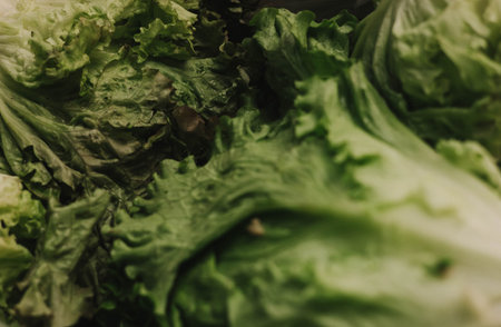 Fresh greens and lettuce at small local urban market. Organic produce on sale at outdoor farmer market. Selling fresh crops and veggies harvest. European urban setting. Close up. Part of the seriesの写真素材