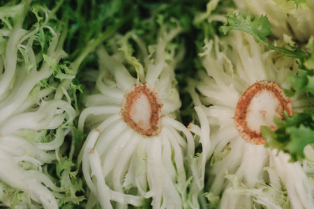 Fresh greens and lettuce at small local urban market. Organic produce on sale at outdoor farmer market. Selling fresh crops and veggies harvest. European urban setting. Close up. Part of the seriesの写真素材