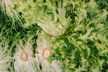 Fresh greens and lettuce at small local urban market. Organic produce on sale at outdoor farmer market. Selling fresh crops and veggies harvest. European urban setting. Close up. Part of the seriesの写真素材