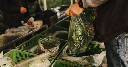 Close up of hand with a greens in polyethylene bag on the local Farmers market. Mature Female Customer Shopping At Farmers Market Stall. Woman buying vegetables. Close up. Part of the seriesの写真素材