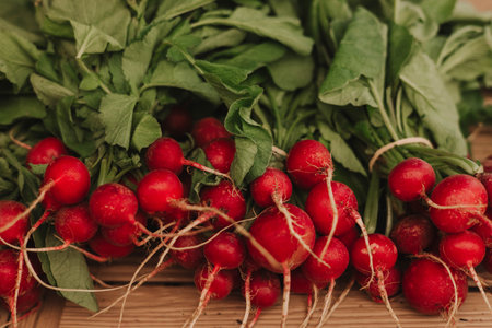 Fresh radish at small local urban market. Organic produce on sale at outdoor farmer market. Selling...