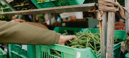 Close up of hand with a greens in polyethylene bag on the local Farmers market. Mature Female Customer Shopping At Farmers Market Stall. Woman buying vegetables. Close up. Part of the seriesの写真素材