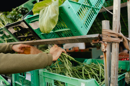 Close up of hand with a greens in polyethylene bag on the local Farmers market. Mature Female Customer Shopping At Farmers Market Stall. Woman buying vegetables. Close up. Part of the seriesの写真素材