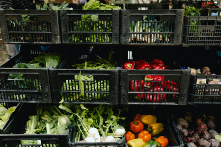 Fresh vegetables at small local urban market. Organic produce on sale at outdoor farmer market. Selling fresh crops and veggies harvest. European urban setting. Close up. Part of the series.の写真素材