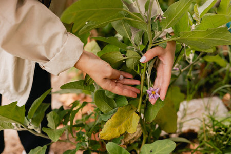 Close-up of woman's with garden tools as florist taking care of flowers and plants in garden eco-farm. Concept green tourism, slow life, gardening, eco friendly. Part of the seriesの写真素材