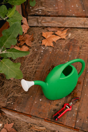 Garden tools for florist taking care of flowers and plants in garden with vintage greenhouse eco-farm. Concept green tourism, slow life, gardening, eco friendly.の写真素材