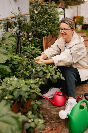 Portrait of a middle-aged woman as florist taking care of flowers and plants in garden with vintage greenhouse eco-farm. Concept green tourism, slow life, gardening, eco friendly. Part of the seriesの写真素材