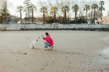 Young woman trains golden retriever puppy on the ocean beach in sunny weather. Happy dogs concept.