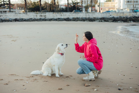 Young woman trains golden retriever puppy on the ocean beach in sunny weather. Happy dogs concept. Part of a seriesの写真素材