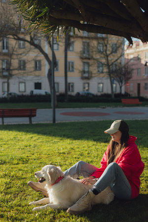 Young woman trains golden retriever puppy in the park in sunny weather. Happy dogs concept. Part of a seriesの写真素材
