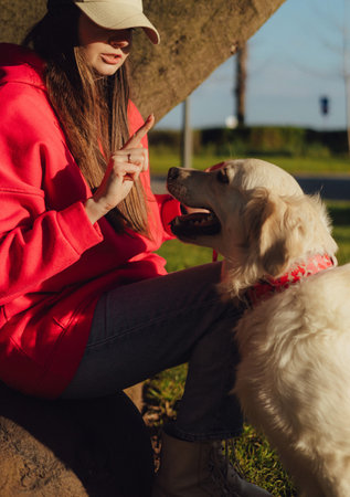 Young woman trains golden retriever puppy in the park in sunny weather. Happy dogs concept. Part of a seriesの写真素材