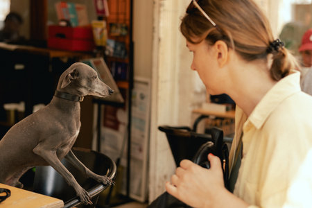 Close up of a responsible woman with her dog in cafe. Friendship, walk, pets. Italian Greyhound....