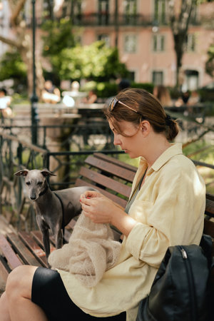 Attractive woman with dog Italian Greyhound on public park in knitting work activity using wool. DIY and creative activities concept. Part of the series. Friendship, walk, pets.の写真素材