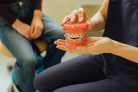 Close-up of dentist's hands showing dental treatment on artificial jaw. Tooth whitening, cleaning or oral, mouth and gum care at hospital. Soft focus. Part of a series. Close-up.の写真素材