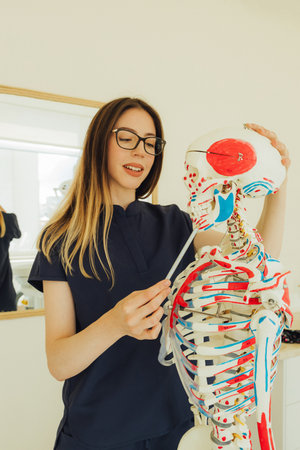 Young female dentist with skeleton model. Woman in medicine,teeth and dentist for dental care,...
