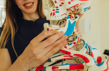 Young female dentist with skeleton model. Woman in medicine,teeth and dentist for dental care,...