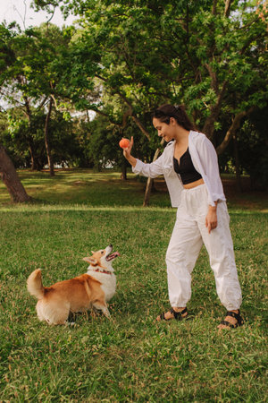 Young girl trains Welsh Corgi in the park in sunny weather. Concept of walking a dog, friendship between a dog and owner. Part of a series. Soft focus.の写真素材