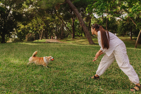 Young girl trains Welsh Corgi in the park in sunny weather. Concept of walking a dog, friendship between a dog and owner. Part of a series. Soft focus.の写真素材