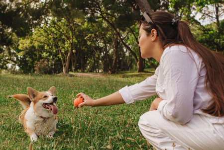 Young girl trains Welsh Corgi in the park in sunny weather. Concept of walking a dog, friendship between a dog and owner. Part of a series. Soft focus.の写真素材