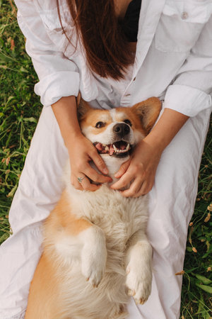 Close-up of a woman hugging a Welsh Corgi in the park in sunny weather. Concept of walking a dog, friendship between a dog and owner. Part of a series. Soft focus.の写真素材
