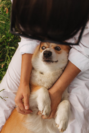 Close-up of a woman hugging a Welsh Corgi in the park in sunny weather. Concept of walking a dog, friendship between a dog and owner. Part of a series. Soft focus.の写真素材
