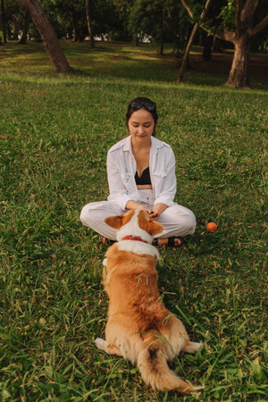 Close-up of a woman training and feeding a Welsh Corgi in the park in sunny weather. Concept of walking a dog, friendship between a dog and owner. Part of a series. Soft focus.の写真素材