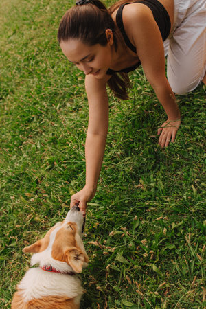 Close-up of a woman training and feeding a Welsh Corgi in the park in sunny weather. Concept of walking a dog, friendship between a dog and owner. Part of a series. Soft focus.の写真素材