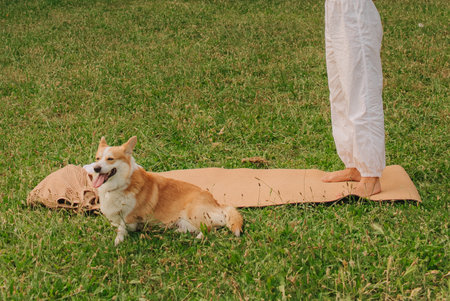 Close-up of a woman's legs on a yoga mat next to her Corgi dog in a tropical park. Peaceful outdoor moment, healthy lifestyle and pet companionship on a sunny day.の写真素材