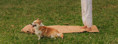 Close-up of a woman's legs on a yoga mat next to her Corgi dog in a tropical park. Peaceful outdoor moment, healthy lifestyle and pet companionship on a sunny day.の写真素材