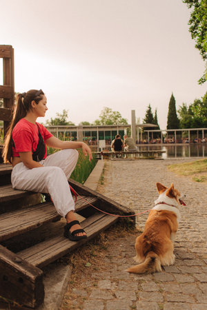 Close-up of a woman with Welsh Corgi in a park on a hot sunny day. Concept of pet care and companionship. Dog walker. Woman with her pet have fun at morning walking. Soft focus. Part of a series.の写真素材