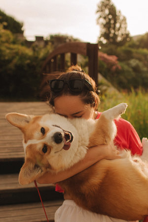 Close-up of a woman hugging a Welsh Corgi in the park in sunny weather. Concept of walking a dog, friendship between a dog and owner. Part of a series. Soft focus.の写真素材