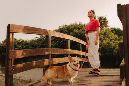Close-up of a woman with Welsh Corgi in a park on a hot sunny day. Concept of pet care and companionship. Dog walker. Woman with her pet have fun at morning walking. Soft focus. Part of a series.の写真素材