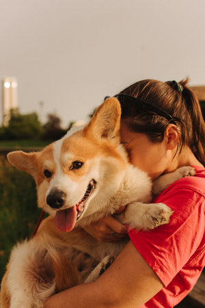 Close-up of a woman hugging a Welsh Corgi in the park in sunny weather. Concept of walking a dog, friendship between a dog and owner. Part of a series. Soft focus.の写真素材