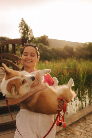Close-up of a woman hugging a Welsh Corgi in the park in sunny weather. Concept of walking a dog, friendship between a dog and owner. Part of a series. Soft focus.の写真素材
