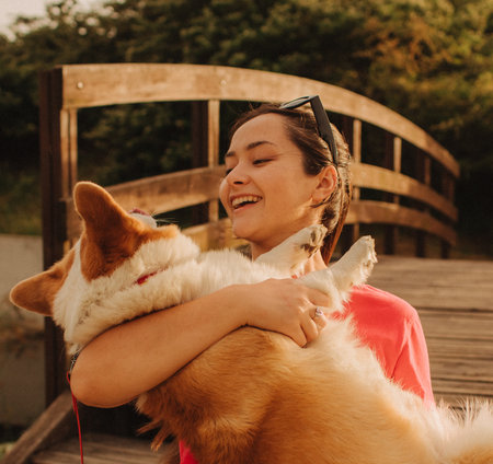 Close-up of a woman hugging a Welsh Corgi in the park in sunny weather. Concept of walking a dog, friendship between a dog and owner. Part of a series. Soft focus.の写真素材