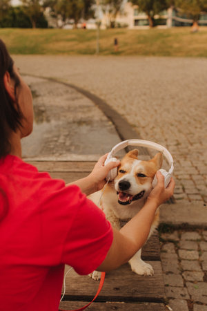 Close-up of a woman with Welsh Corgi in a park on a hot sunny day. The dog looks tired from the heat. Concept of summer walk, pet care, and companionship. Soft focus. Part of a series.の写真素材