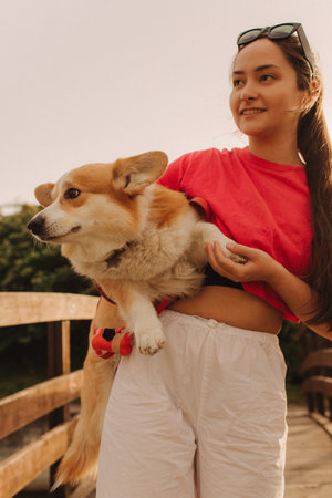 Close-up of a woman hugging a Welsh Corgi in the park in sunny weather. Concept of walking a dog, friendship between a dog and owner. Part of a series. Soft focus.の写真素材
