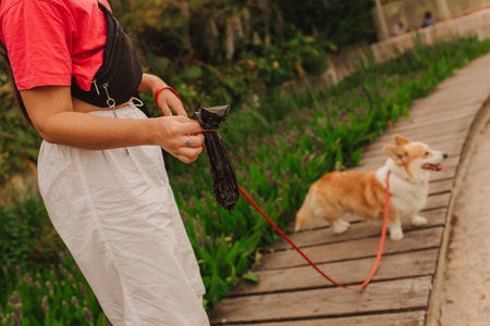 Dog walker and Welsh Corgi dog enjoy sunny day out on sidewalk. Female leads her dog at leash in park. Woman with her pet have fun at morning walking. Soft focus. Part of a seriesの写真素材