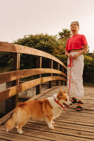 Close-up of a woman with Welsh Corgi in a park on a hot sunny day. Concept of pet care and companionship. Dog walker. Woman with her pet have fun at morning walking. Soft focus. Part of a series.の写真素材