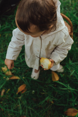 Happy little baby girl playing in a autumn park. Childhood joy, Mother's Day, outdoor activity, early learning, imagination, authentic moment, emotional childhood, natural light. Part of a seriesの写真素材